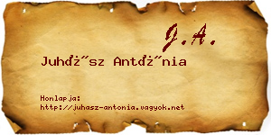 Juhász Antónia névjegykártya