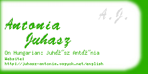 antonia juhasz business card